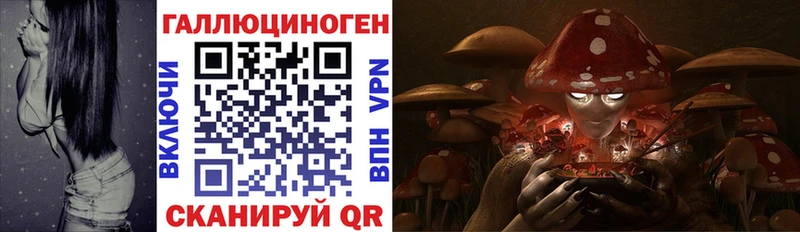 Галлюциногенные грибы ЛСД  Закаменск 